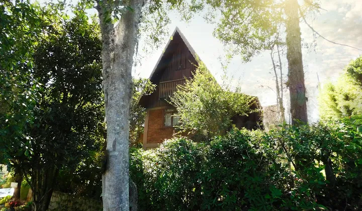 Casa com telhado inclinado cercada por árvores e vegetação.