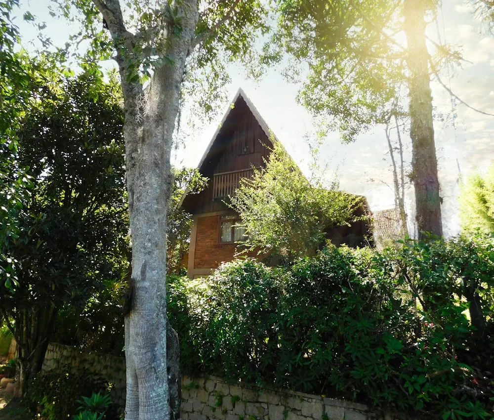 Casa com telhado inclinado cercada por árvores e vegetação.